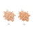 Excel Clear Lucent Powder NA пудра для лица