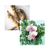 Shiseido Fuente Forte Delicate Scalp шампунь для деликатного ухода за кожей головы