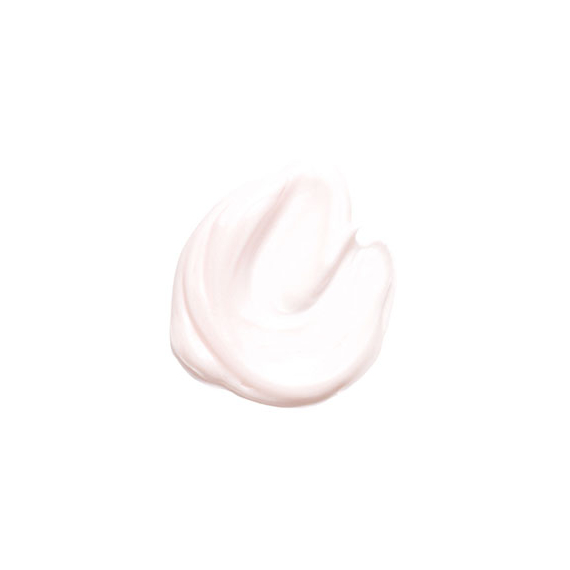 Kanebo Fresh Day Cream увлажняющий дневной крем
