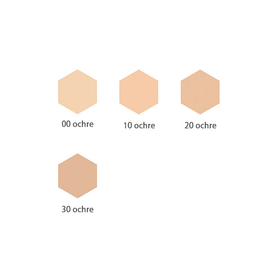 Shiseido Integrate Pro Finish Foundation компактная пудра