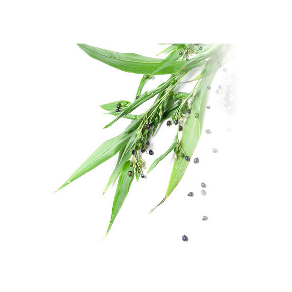 Kracie Yokuinin Tablet экстракт бусенника для здоровья и красоты кожи