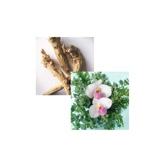 Shiseido Fuente Forte Delicate Scalp шампунь для деликатного ухода за кожей головы