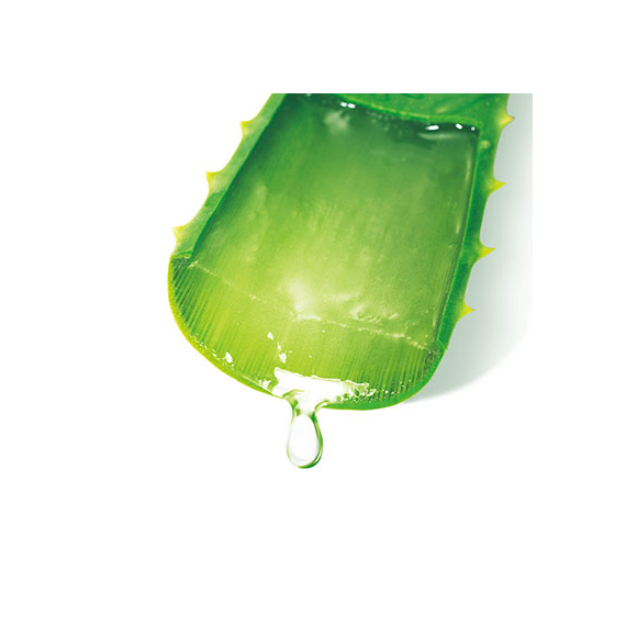 Kobayashi Aloe Pharmaceutical увлажняющий кондиционер с экстрактом алоэ